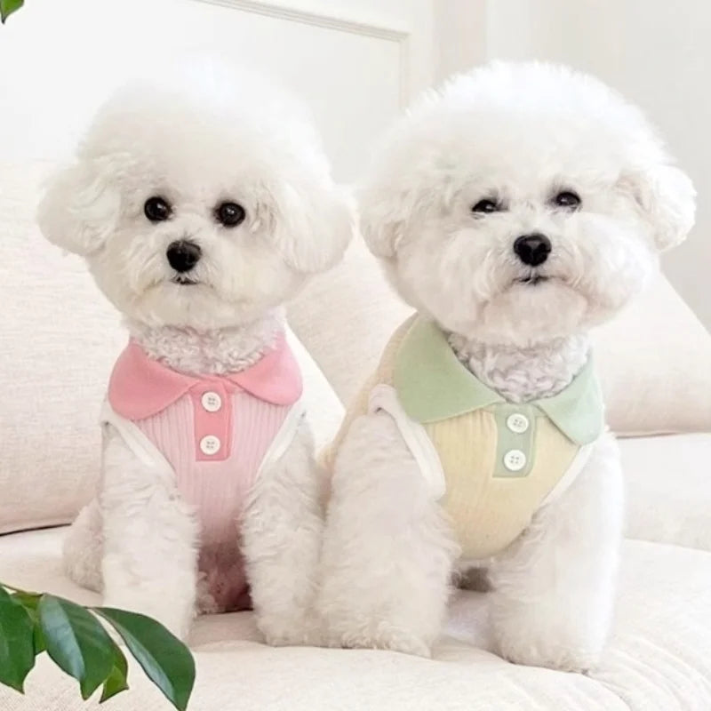 Summer Polo Shirt for Pets – Lightweight, Stylish & Comfortable