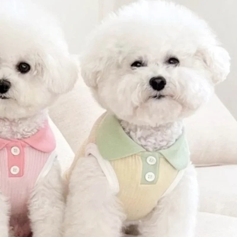 Summer Polo Shirt for Pets – Lightweight, Stylish & Comfortable