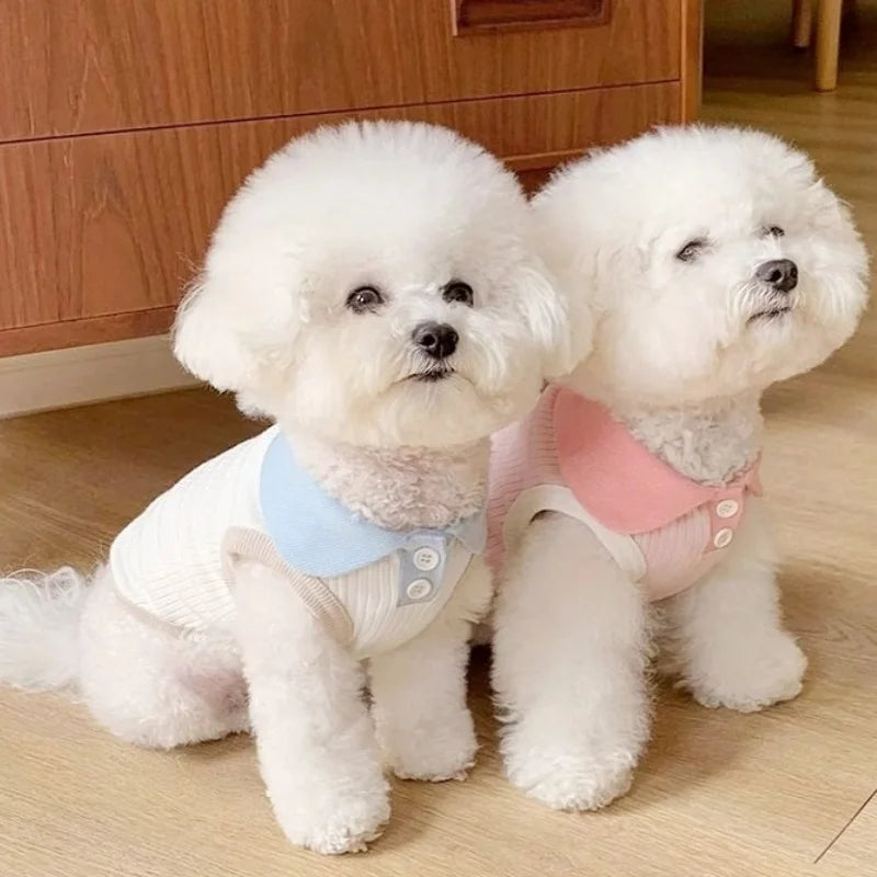 Summer Polo Shirt for Pets – Lightweight, Stylish & Comfortable