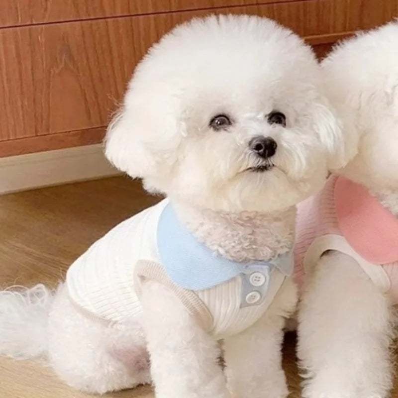 Summer Polo Shirt for Pets – Lightweight, Stylish & Comfortable