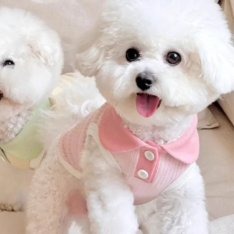 Summer Polo Shirt for Pets – Lightweight, Stylish & Comfortable
